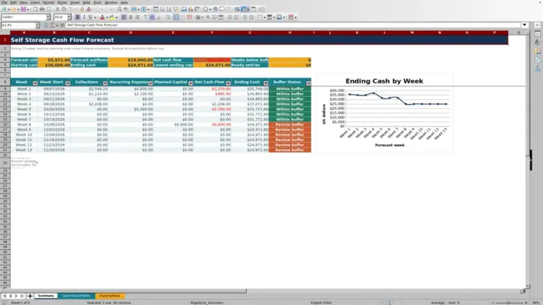 Preview of Self Storage 13-Week Cash Flow Forecast Excel Template